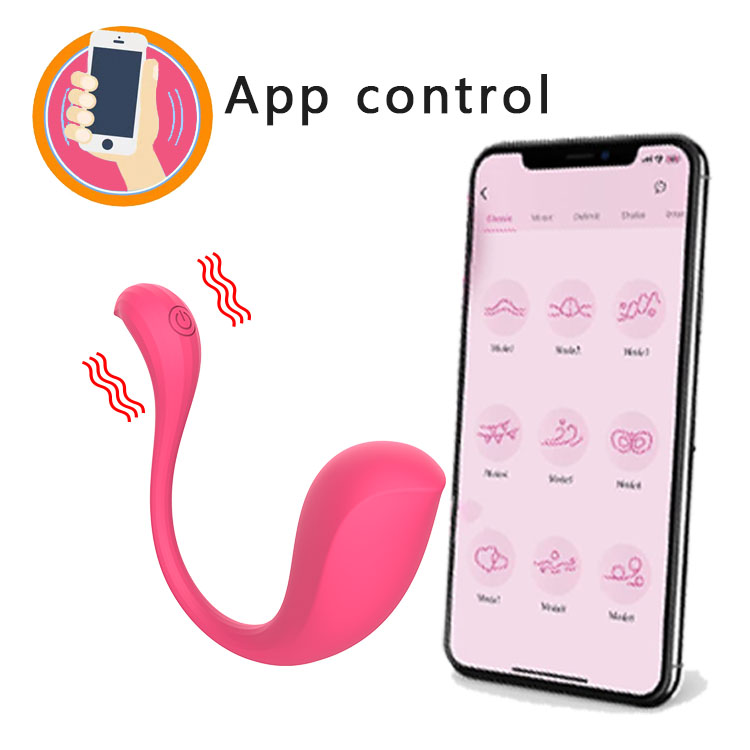 RS-W108 Wearable Panty Vaginal Sex Vibrator with APP Control Adult Sex Toys with 10 Vibrations for Women