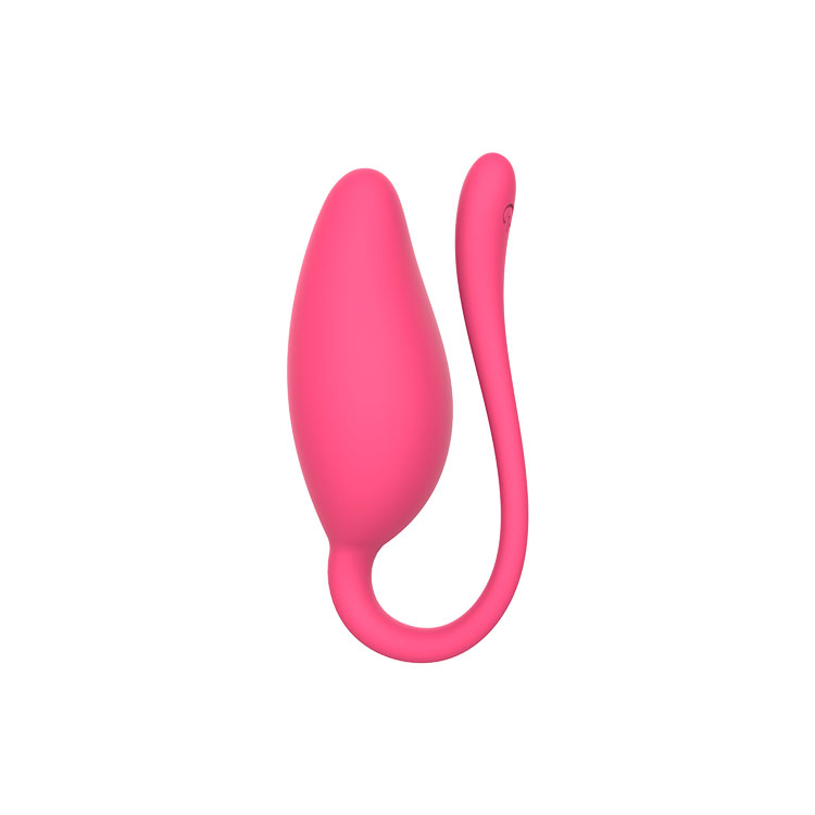 RS-W107 Rechargerable Vibrating Eggs Wireless Long Distance Wearable G Spot Vibrator with APP Remote Control