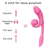 RS-W260 Unique modeling Two-point strong vibration 10 Frequency G-pot Vibrator Couple Sex Toys Adult Vaginal Vibrator