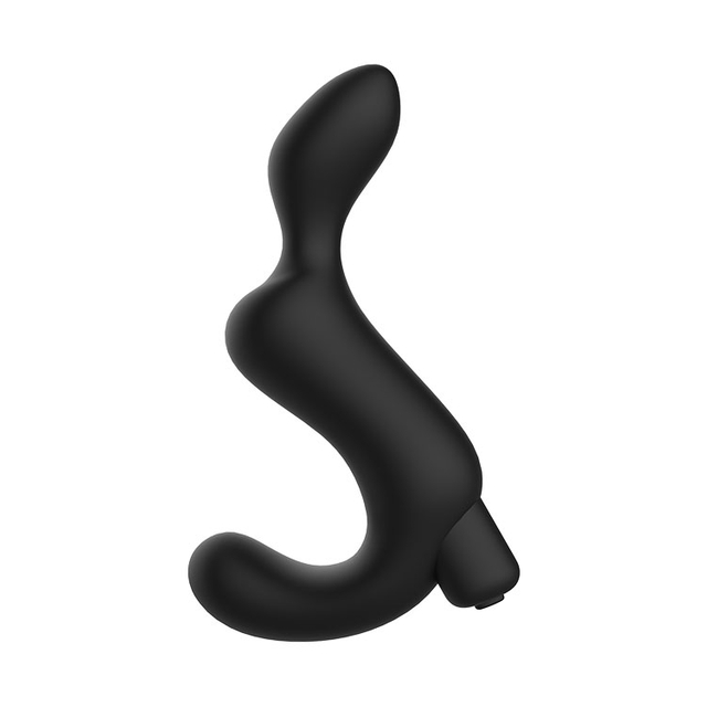 RS-A044 Female Anal Toys Vibrating Anal Plug with Removable Bullet Vibrator 10 Frequency Sex Toys for Couple