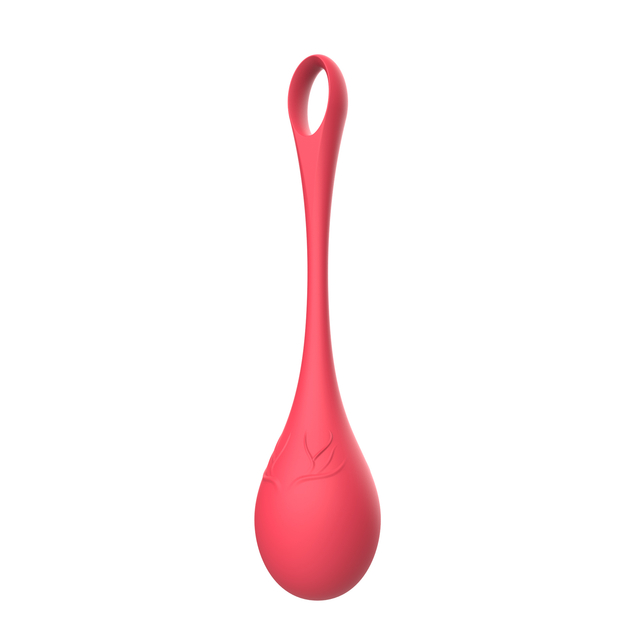 Christmas Elk Design Kegal Balls Built-in Steel Ball Silicone vaginal tightening ball Women Pelvic Floor Muscle Repair