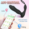 RS-A007 10 Frequency Vibration and Telescoping Prostate Anal Plug APP Intelligent Remote Control Prostate Vibrator Sex Product for Men
