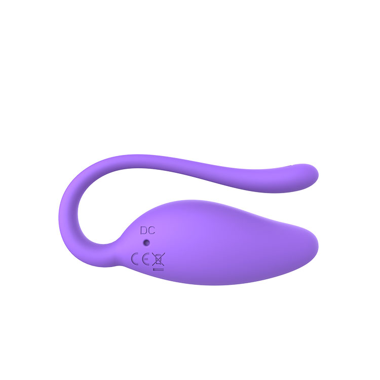 RS-W107 Rechargerable Vibrating Eggs Wireless Long Distance Wearable G Spot Vibrator with APP Remote Control