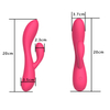 RS-W040 Magnetic Charging Rabbit Vibrator for Women Dual Vibrating Massager Sex Vibrator with 10 Vibration Settings