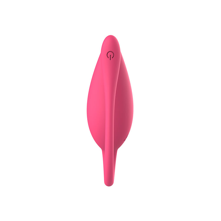 RS-W107 Rechargerable Vibrating Eggs Wireless Long Distance Wearable G Spot Vibrator with APP Remote Control